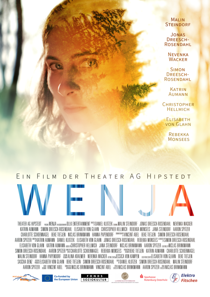 wenja-dvd-bd-streamer-link-theater-ag-hipstedt-2025